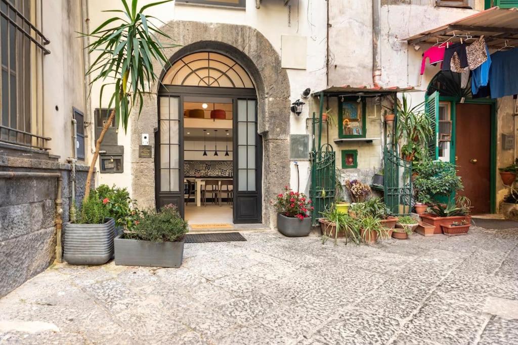 Vesuvius Ai Librai Napoli
